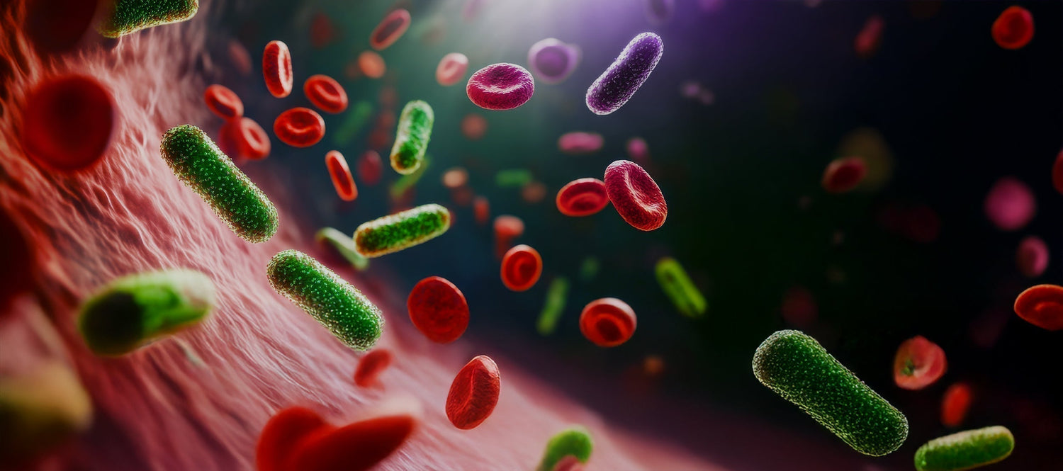 Sepsis och tandinfektioner – från lokal inflammation till livshotande tillstånd