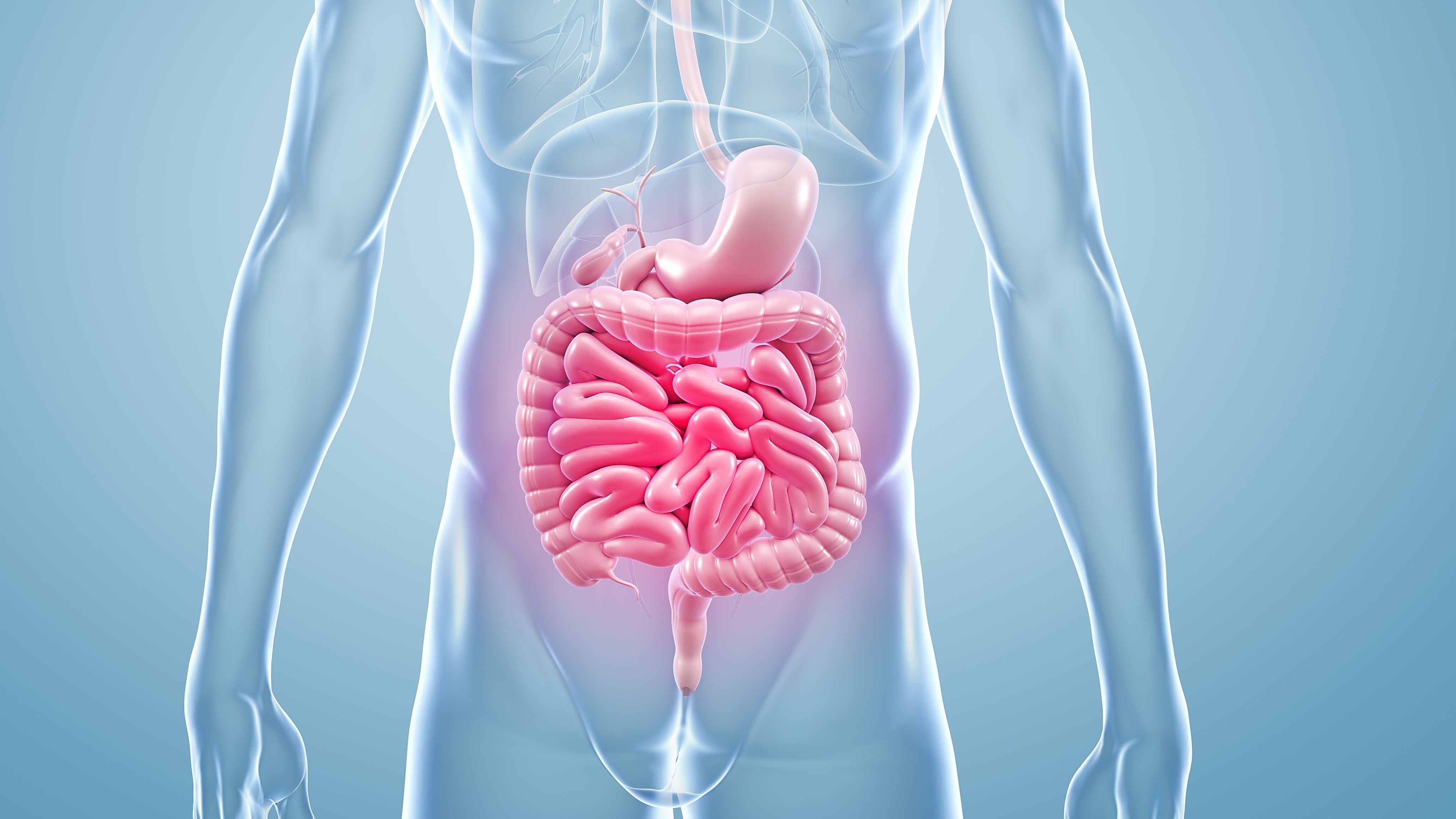 Från mun till mage: En inflammatorisk resa